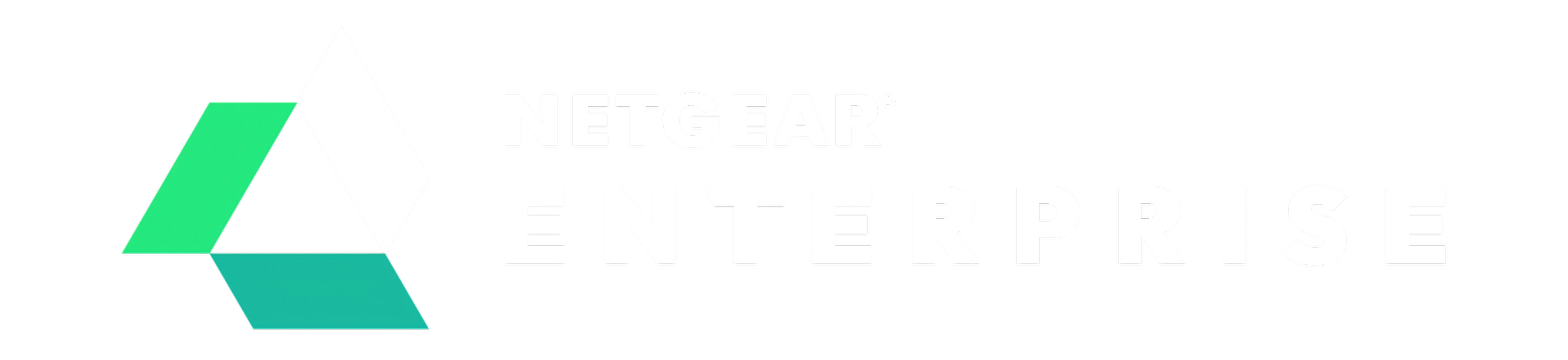 netgear_enterprise_secordnary_logo netgear_enterprise_secordnary_logo